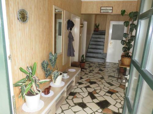 Hostal Casa Rosada