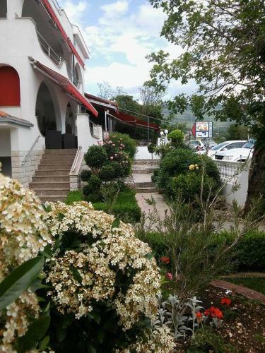 Hostal Guest House Petra