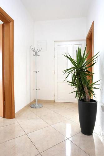 Apartment Seget Vranjica 10328a