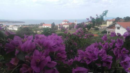 Apartments Marica