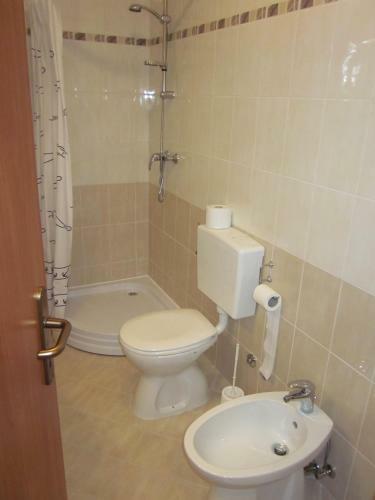 Apartment Iva