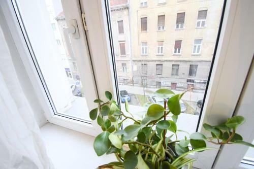Donos Art Apartment