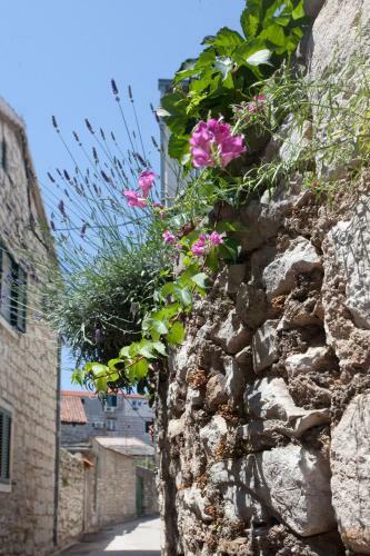 Hostal Old Town & Ela Place