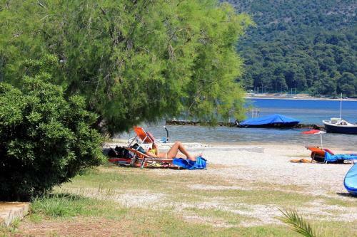 Apartment Sladjenovici 9012a