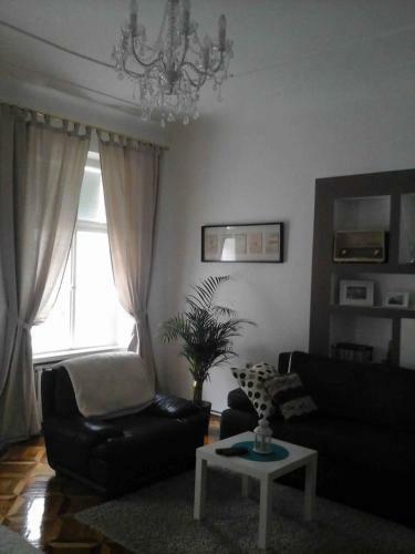 Apartments Radi?eva