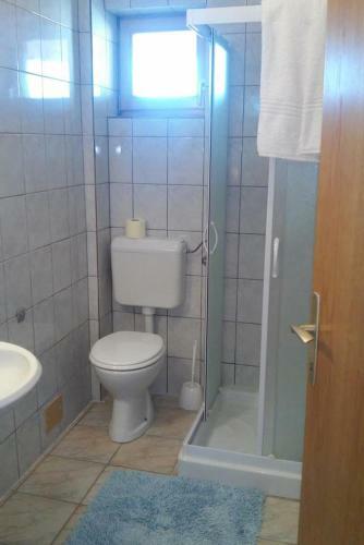Apartments And Rooms With A Swimming Pool Novigrad - 11242