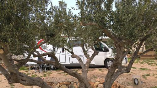 Apartamento Camp Kopito