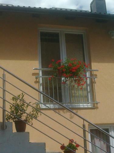 Hostal Rooms Ana