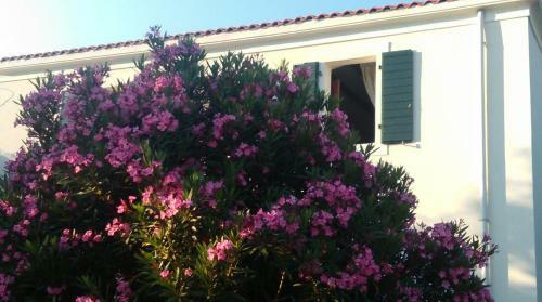 Apartamento Holiday Home