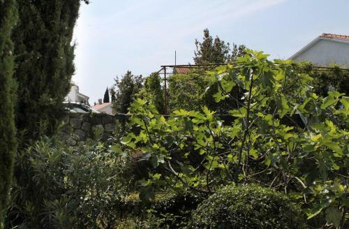 Apartment Krk 5318b