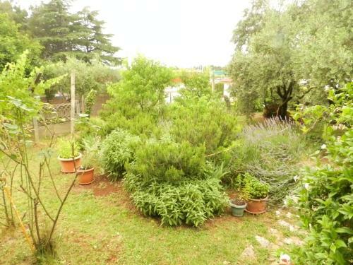 Apartment Valter