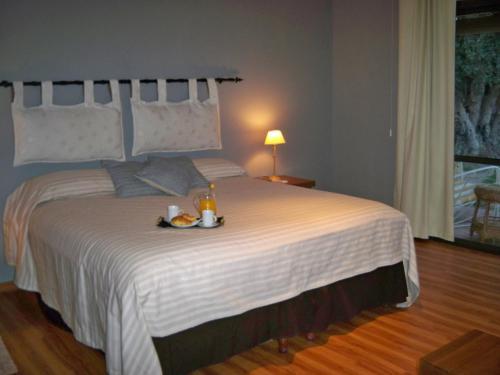 Suter Petit Hotel