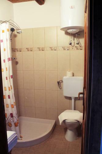 Studio Apartment Belvedere
