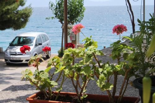 Apartment Podgora 6725d