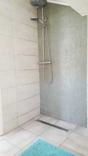 Apartmani Brzica