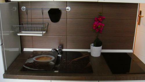 Apartamentos Villa Toncic