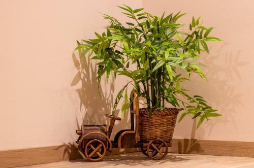 Hostal Villa Ragusa