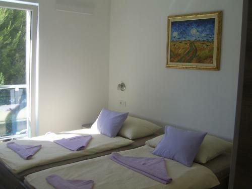 Apartments Villa Erik