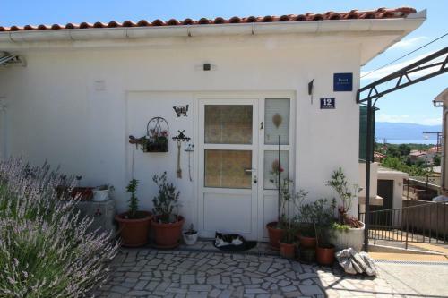 Apartment Renata