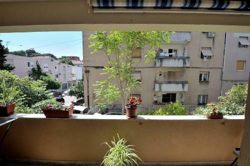 Belvedere Apartment