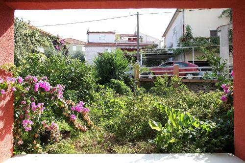 Hostal Stela Apartments