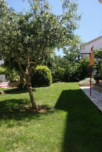 Apartments With A Parking Space Silo (krk) - 5436