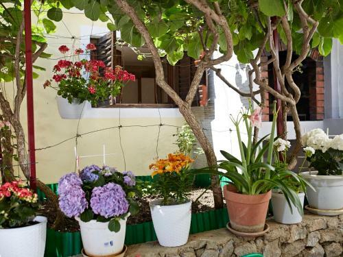 Hostal Room In Little House Marjan