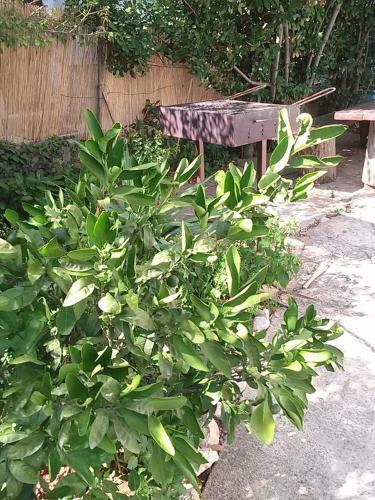 Apartment Biograd Na Moru 863c