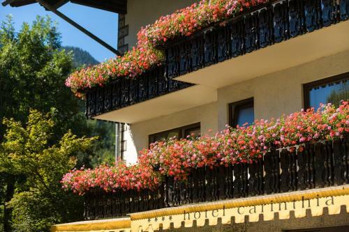 Hotel Carinthia