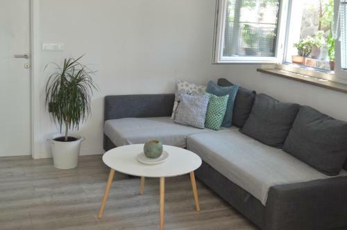 Apartments Prgomet