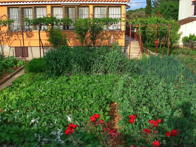 Apartments Anita