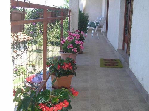 Apartment Paola 2