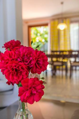 Hostal Guesthouse Alma