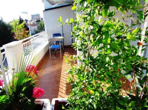 Urban Apartments Jadre