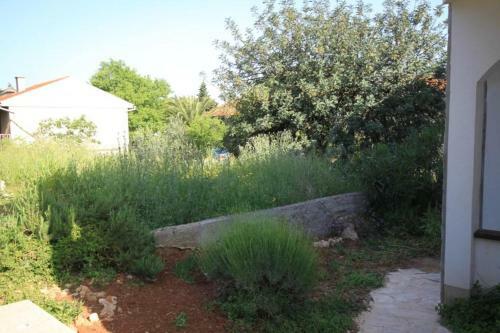 Apartment Stari Grad 8752a