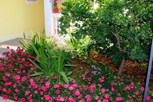 Hostal Guesthouse Mihovil