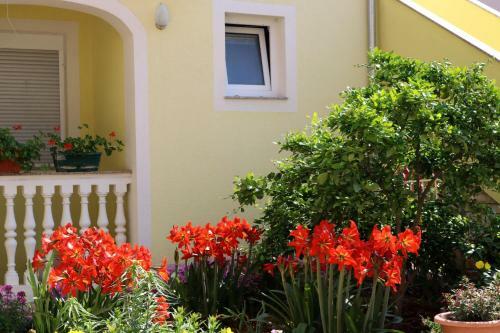 Hostal Guesthouse Mihovil