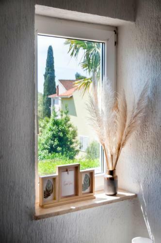 Hostal Rooms Daria