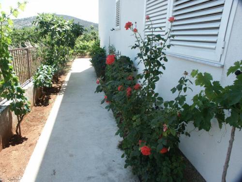 Apartment Vinisce 1165d