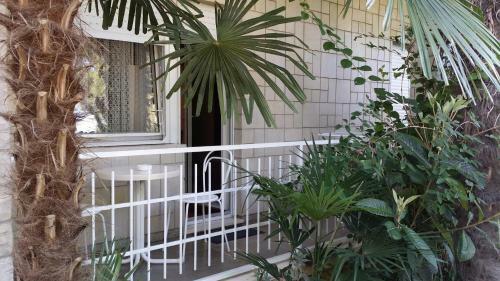 House Danica Apartments & Rooms