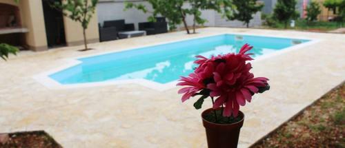 Apartment Zadar