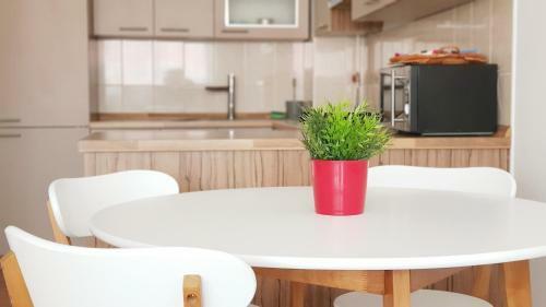 Apartment Petar I Dora