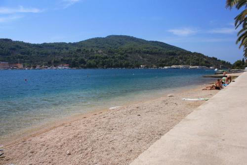Apartment Vela Luka 4449a