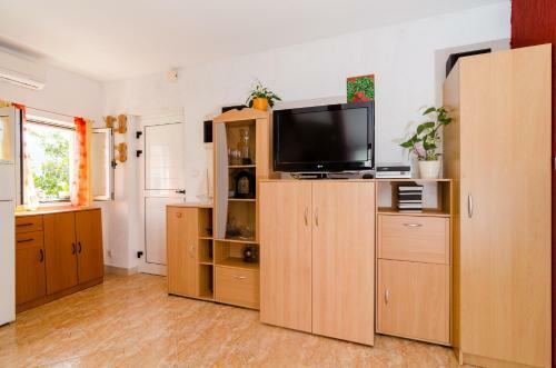 Apartment Mala Ana