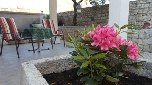 Apartments Red Coral Cavtat