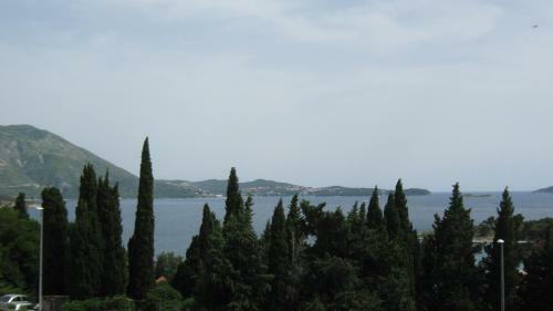 Bed & Breakfast Perun Guest House