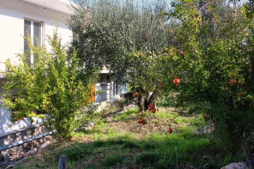 Apartment Arbanija 5228e
