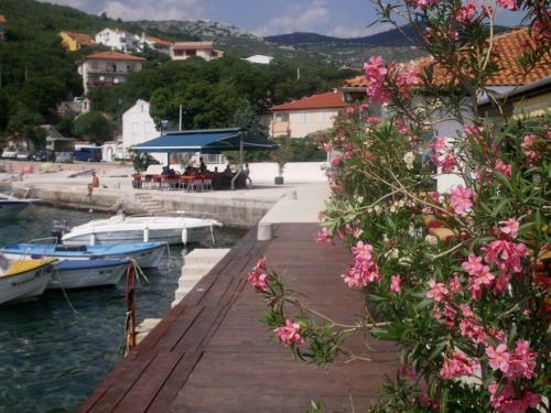 Apartments Cajic
