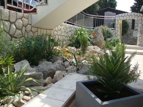 Apartments Ilona