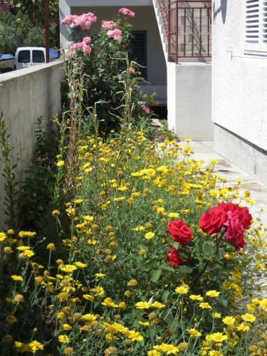 Apartment Cvita